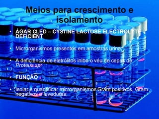 Meios para crescimento e isolamento ÁGAR CLED – CYSTINE LACTOSE ELECTROLYTE DEFICIENT Microrganismos presentes em amostras urina; A deficiência de eletrólitos inibe o véu de cepas de  Proteus sp; FUNÇÃO Isolar e quantificar microrganismos Gram positivos, Gram negativos e leveduras; 