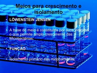 Meios para crescimento e isolamento LÖWENSTEIN JENSEN A base do meio é constituída por ovos integrais, o que permite amplo crescimento das Micobactérias; FUNÇÃO Isolamento primário das micobactérias; 