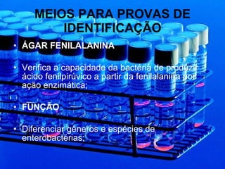 MEIOS PARA PROVAS DE IDENTIFICAÇÃO ÁGAR FENILALANINA Verifica a capacidade da bactéria de produzir ácido fenilpirúvico a partir da fenilalanina por ação enzimática; FUNÇÃO  Diferenciar gêneros e espécies de enterobactérias; 