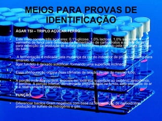 MEIOS PARA PROVAS DE IDENTIFICAÇÃO ÁGAR TSI – TRIPLO AÇÚCAR FERRO Este meio contém três açúcares: 0,1%glicose, 1,0% lactose, 1,0% sacarose, vermelho de fenol para detecção da fermentação de carboidratos e sulfato de ferro para detecção da produção de sulfato de hidrogênio (indicado pela cor preta na base do tubo); A fermentação é indicada pela mudança da cor do indicador de pH de vermelho para amarelo. O ágar fundido é deixado solidificar, formando uma superfície inclinada; Essa configuração origina duas câmaras de reação dentro do mesmo tubo; A porção inclinada ou bico, exposta em toda sua superfície ao oxigênio atmosférico, é aeróbia. A porção inferior, denominada profundidade ou fundo, está protegida do ar e é relativamente anaeróbia; FUNÇÃO Diferenciar bacilos Gram negativos com base na fermentação de carboidratos, produção de sulfato de hidrogênio e gás. 