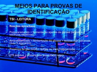 MEIOS PARA PROVAS DE IDENTIFICAÇÃO TSI - LEITURA Reações ápice/base: Púrpura/amarelo = fermentação apenas da glicose (lactose e sacarose negativos); Amarelo/amarelo = fermentação da glicose + lactose e/ou sacarose (2 ou 3 açucares); Presença de gás (CO²) = bolhas ou meio fragmentado; H²S positivo = presença de precipitado negro; 