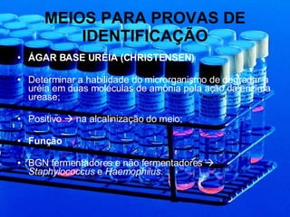 MEIOS PARA PROVAS DE IDENTIFICAÇÃO ÁGAR BASE URÉIA (CHRISTENSEN) Determinar a habilidade do microrganismo de degradar a uréia em duas moléculas de amônia pela ação da enzima urease; Positivo    na alcalinização do meio; Função  BGN fermentadores e não fermentadores     Staphylococcus  e  Haemophilus. 