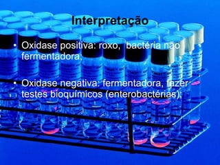 Interpretação Oxidase positiva: roxo,  bactéria não fermentadora; Oxidase negativa: fermentadora, fazer testes bioquímicos (enterobactérias); 