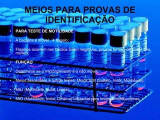 MEIOS PARA PROVAS DE IDENTIFICAÇÃO PARA TESTE DE MOTILIDADE A bactéria é móvel    flagelo; Flagelos ocorrem nos bacilos Gram negativos, poucas formas de cocos são móveis; FUNÇÃO Determinar se o microrganismo é o não móvel; Meios associados a outros testes: Meios SIM (Sulfato, Indol, Motilidade); MILI (Motilidade, Indol, Lisina); MIO (Motilidade, Indol, Ornitina) utilizados para testes enterobactérias; 