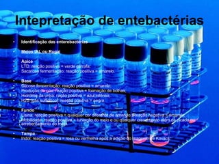 Intepretação de entebactérias Identificação das enterobactérias Meios IAL ou Rugai Ápice LTD: reação positiva = verde garrafa; Sacarose fermentação: reação positiva = amarelo. Base Glicose fermentação: reação positiva = amarelo; Produção de gás: reação positiva = formação de bolhas; Hidrólise da uréia: ração positiva = azul intenso; H2S (gás sulfidríco): reação positiva = negra. Fundo Lisina: reação positiva = qualquer cor diferente de amarelo; Reação negativa = amarelo; Mobilidade: reação positiva = turvação do meio e ou qualquer crescimento além da picada ou arrebentamento do meio. Tampa Indol: reação positiva = rosa ou vermelha após a adição do reagente de Kovacs. 