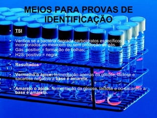 MEIOS PARA PROVAS DE IDENTIFICAÇÃO TSI Verifica se a bactéria degrada carboidratos específicos incorporados ao meiocom ou sem produção de gás. Gás: positivo = formação de bolhas; H2S: positivo = negra. Resultados Vermelho o ápice:  fermentação apenas da glicose, lactose e sacarose negativa a  base é amarela. Amarelo o ápice:  fermentação da glicose, lactose e ou sacarose a  base é amarela. 