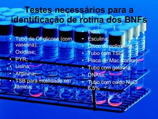 Testes necessários para a identificação de rotina dos BNFs Tubo de OFglicose (com vaselina); Oxidase; PYR; Lisina; Arginina; TSB para motilidade em lâmina; Indol; Esculina; Disco de polimixina; Tubo com TSI; Placa de Mac Conkey; Tubo com gelatina; DNAse; Tubo com caldo NaCl 6,5% 