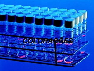 COLORAÇÕES   