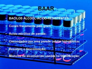 BAAR BACILOS ÁLCOOL-ÁCIDO-RESISTENTES; Coram fracamente pelo gram; Ácido micólico de parede; Circundados por uma parede celular hidrofóbica; Resistem a descoloração; Misturas de álcool-ácido usadas na identificação; 
