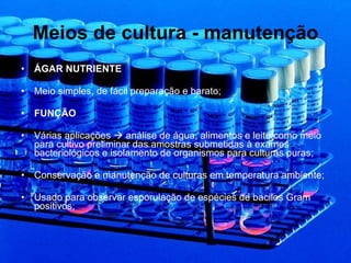 Meios de cultura - manutenção ÁGAR NUTRIENTE Meio simples, de fácil preparação e barato; FUNÇÃO Várias aplicações    análise de água, alimentos e leite como meio para cultivo preliminar das amostras submetidas à exames bacteriológicos e isolamento de organismos para culturas puras; Conservação e manutenção de culturas em temperatura ambiente; Usado para observar esporulação de espécies de bacilos Gram positivos; 