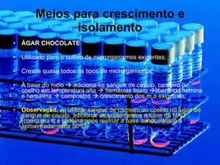 Meios para crescimento e isolamento ÁGAR CHOCOLATE Utilizado para o cultivo de microrganismos exigentes; Cresce quase todos os tipos de microrganismos; À base do meio    adiciona-se sangue de cavalo, carneiro ou coelho em temperatura alta    hemácias lisam   liberando hemina e hematina    compostos    crescimento dos m.o exigentes; Observação :  s e utilizar sangue de carneiro ou coelho no lugar do sangue de cavalo, adicionar os suplementos a base de NAD (coenzima I) e cisteína após resfriar a base achocolatada à aproximadamente 50ºC; 