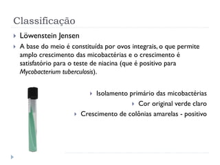 Classificação
 Löwenstein Jensen
 A base do meio é constituída por ovos integrais, o que permite
amplo crescimento das micobactérias e o crescimento é
satisfatório para o teste de niacina (que é positivo para
Mycobacterium tuberculosis).
 Isolamento primário das micobactérias
 Cor original verde claro
 Crescimento de colônias amarelas - positivo
 