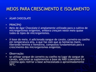 MEIOS PARA CRESCIMENTO E ISOLAMENTO
• ÁGAR CHOCOLATE
• PRINCÍPIO
• Meio de Ágar Chocolate é amplamente utilizado para o cultivo de
microrganismos exigentes, embora cresçam neste meio quase
todos os tipos de microrganismos.
• À base do meio, é adicionado sangue de cavalo, carneiro ou coelho
em temperatura alta, o que faz com que as hemácias lisem,
liberando hemina e hematina, compostos fundamentais para o
crescimento dos microrganismos exigentes.
• Observação:
• se utilizar sangue de carneiro ou coelho no lugar do sangue de
cavalo, adicionar os suplementos a base de NAD (coenzima I) e
cisteína após resfriar a base achocolatada à aproximadamente
50ºC.
 