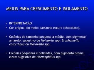 MEIOS PARA CRESCIMENTO E ISOLAMENTO
• INTERPRETAÇÃO
• Cor original do meio: castanho escuro (chocolate).
• Colônias de tamanho pequeno a médio, com pigmento
amarelo: sugestivo de Neisseria spp, Branhamella
catarrhalis ou Moraxella spp.
• Colônias pequenas e delicadas, com pigmento creme
claro: sugestivo de Haemophilus spp.
 