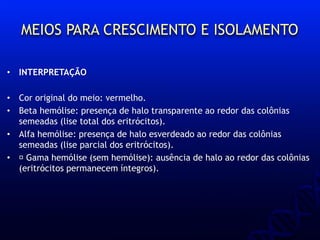 MEIOS PARA CRESCIMENTO E ISOLAMENTO
• INTERPRETAÇÃO
• Cor original do meio: vermelho.
• Beta hemólise: presença de halo transparente ao redor das colônias
semeadas (lise total dos eritrócitos).
• Alfa hemólise: presença de halo esverdeado ao redor das colônias
semeadas (lise parcial dos eritrócitos).
• 􀂃 Gama hemólise (sem hemólise): ausência de halo ao redor das colônias
(eritrócitos permanecem íntegros).
 