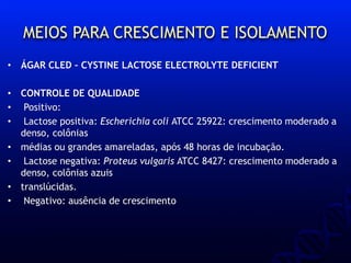 MEIOS PARA CRESCIMENTO E ISOLAMENTO
• ÁGAR CLED – CYSTINE LACTOSE ELECTROLYTE DEFICIENT
• CONTROLE DE QUALIDADE
• Positivo:
• Lactose positiva: Escherichia coli ATCC 25922: crescimento moderado a
denso, colônias
• médias ou grandes amareladas, após 48 horas de incubação.
• Lactose negativa: Proteus vulgaris ATCC 8427: crescimento moderado a
denso, colônias azuis
• translúcidas.
• Negativo: ausência de crescimento
 