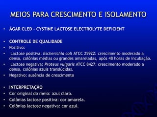 MEIOS PARA CRESCIMENTO E ISOLAMENTO
• ÁGAR CLED – CYSTINE LACTOSE ELECTROLYTE DEFICIENT
• CONTROLE DE QUALIDADE
• Positivo:
• Lactose positiva: Escherichia coli ATCC 25922: crescimento moderado a
denso, colônias médias ou grandes amareladas, após 48 horas de incubação.
• Lactose negativa: Proteus vulgaris ATCC 8427: crescimento moderado a
denso, colônias azuis translúcidas.
• Negativo: ausência de crescimento
• INTERPRETAÇÃO
• Cor original do meio: azul claro.
• Colônias lactose positiva: cor amarela.
• Colônias lactose negativa: cor azul.
 
