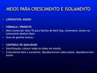 MEIOS PARA CRESCIMENTO E ISOLAMENTO
• LÖWENSTEIN JENSEN
• FÓRMULA / PRODUTO
• Meio comercial: Meio TB para Bacilos de Koch Seg. Löwenstein Jensen ou
Löwenstein Medium Base
• Ovos de galinha frescos –
• CONTROLE DE QUALIDADE
• Esterilização: colocar todos os tubos em estufa;
• Crescimento bom a excelente: Mycobacterium tuberculosis, Mycobacterium
avium
 