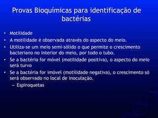 • Motilidade
• A motilidade é observada através do aspecto do meio.
• Utiliza-se um meio semi-sólido o que permite o crescimento
bacteriano no interior do meio, por todo o tubo.
• Se a bactéria for móvel (motilidade positiva), o aspecto do meio
será turvo
• Se a bactéria for imóvel (motilidade negativa), o crescimento só
será observado no local de inoculação.
– Espiroquetas
Provas Bioquímicas para identificação de
bactérias
 