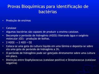 • Produção de enzimas
• Catalase
• Algumas bactérias são capazes de produzir a enzima catalase.
• Decompõe o peróxido de hidrogênio (H2O2) liberando água e oxigênio
molecular (O2) – produção de bolhas.
• 2 H2O2 → 2 H2O + O2
• Coloca-se uma gota da cultura líquida em uma lâmina e deposita-se sobre
ela uma gota de peróxido de hidrogênio a 3%.
• O peróxido de hidrogênio pode ser gotejado diretamente sobre uma cultura
em placa.
• Distinção entre Staphylococcus (catalase positiva) e Streptococcus (catalase
negativa)
Provas Bioquímicas para identificação de
bactérias
 