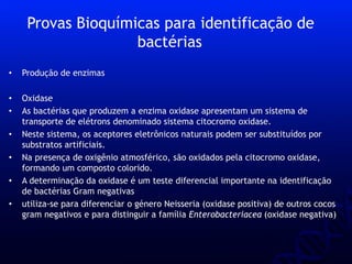 • Produção de enzimas
• Oxidase
• As bactérias que produzem a enzima oxidase apresentam um sistema de
transporte de elétrons denominado sistema citocromo oxidase.
• Neste sistema, os aceptores eletrônicos naturais podem ser substituídos por
substratos artificiais.
• Na presença de oxigênio atmosférico, são oxidados pela citocromo oxidase,
formando um composto colorido.
• A determinação da oxidase é um teste diferencial importante na identificação
de bactérias Gram negativas
• utiliza-se para diferenciar o género Neisseria (oxidase positiva) de outros cocos
gram negativos e para distinguir a família Enterobacteriacea (oxidase negativa)
Provas Bioquímicas para identificação de
bactérias
 