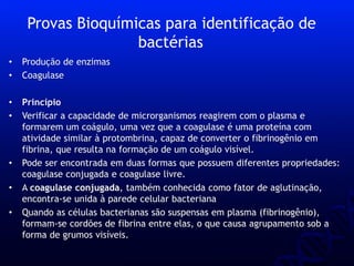 • Produção de enzimas
• Coagulase
• Princípio
• Verificar a capacidade de microrganismos reagirem com o plasma e
formarem um coágulo, uma vez que a coagulase é uma proteína com
atividade similar à protombrina, capaz de converter o fibrinogênio em
fibrina, que resulta na formação de um coágulo visível.
• Pode ser encontrada em duas formas que possuem diferentes propriedades:
coagulase conjugada e coagulase livre.
• A coagulase conjugada, também conhecida como fator de aglutinação,
encontra-se unida à parede celular bacteriana
• Quando as células bacterianas são suspensas em plasma (fibrinogênio),
formam-se cordões de fibrina entre elas, o que causa agrupamento sob a
forma de grumos visíveis.
Provas Bioquímicas para identificação de
bactérias
 