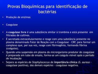 • Produção de enzimas
• Coagulase
• A coagulase livre é uma substância similar à trombina e está presente em
filtrados de cultivos.
• É secretada extracelularmente e reage com uma substância presente no
plasma denominado Fator de Reação com a Coagulase – CRF, para formar um
complexo que, por sua vez, reage com fibrinogênio, formando fibrina
(coágulos).
• Quando uma suspensão em plasma do microrganismo produtor de coagulase
é preparada em tubo de ensaio, forma-se um coágulo visível após o período
de incubação
• Separa as espécies de Staphylococcus de importância clínica (S. aureus –
coagulase positiva), das demais espécies – coagulase negativa.
Provas Bioquímicas para identificação de
bactérias
 