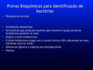 • Produção de enzimas
• Fenilalanina desaminase
• Há bactérias que produzem enzimas que removem o grupo amina da
fenilalanina presente no meio
• Origina o ácido fenilpirúvico.
• O ácido fenilpirúvico reage com o cloreto férrico (10%) adicionado ao meio,
formando uma cor verde.
• Diferenciar gêneros e espécies de enterobactérias.
• Proteus
Provas Bioquímicas para identificação de
bactérias
 