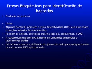 • Produção de enzimas
• Lisina
• Algumas bactérias possuem a lisina descarboxilase (LDC) que atua sobre
a porção carboxila dos aminoácidos.
• Formam-se aminas, de reação alcalina (por ex. cadaverina), e CO2.
• A reação ocorre preferencialmente em condições anaeróbias e
ligeiramente ácidas
• Inicialmente ocorre a utilização da glicose do meio para enriquecimento
da cultura e acidificação do meio.
Provas Bioquímicas para identificação de
bactérias
 