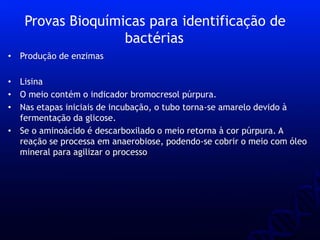 • Produção de enzimas
• Lisina
• O meio contém o indicador bromocresol púrpura.
• Nas etapas iniciais de incubação, o tubo torna-se amarelo devido à
fermentação da glicose.
• Se o aminoácido é descarboxilado o meio retorna à cor púrpura. A
reação se processa em anaerobiose, podendo-se cobrir o meio com óleo
mineral para agilizar o processo
Provas Bioquímicas para identificação de
bactérias
 