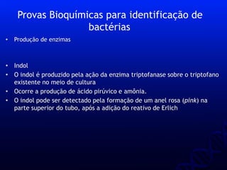 • Produção de enzimas
• Indol
• O indol é produzido pela ação da enzima triptofanase sobre o triptofano
existente no meio de cultura
• Ocorre a produção de ácido pirúvico e amônia.
• O indol pode ser detectado pela formação de um anel rosa (pink) na
parte superior do tubo, após a adição do reativo de Erlich
Provas Bioquímicas para identificação de
bactérias
 