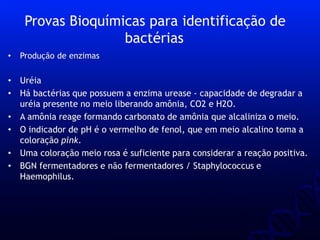 • Produção de enzimas
• Uréia
• Há bactérias que possuem a enzima urease - capacidade de degradar a
uréia presente no meio liberando amônia, CO2 e H2O.
• A amônia reage formando carbonato de amônia que alcaliniza o meio.
• O indicador de pH é o vermelho de fenol, que em meio alcalino toma a
coloração pink.
• Uma coloração meio rosa é suficiente para considerar a reação positiva.
• BGN fermentadores e não fermentadores / Staphylococcus e
Haemophilus.
Provas Bioquímicas para identificação de
bactérias
 