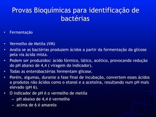 • Fermentação
• Vermelho de Metila (VM)
• Avalia se as bactérias produzem ácidos a partir da fermentação da glicose
pela via ácida mista.
• Podem ser produzidos: ácido fórmico, lático, acético, provocando redução
do pH abaixo de 4,4 ( viragem do indicador).
• Todas as enterobactérias fermentam glicose.
• Porém, algumas, durante a fase final de incubação, convertem esses ácidos
a produtos não ácidos como o etanol e a acetoína, resultando num pH mais
elevado (pH 6).
• O indicador de pH é o vermelho de metila
– pH abaixo de 4,4 é vermelho
– acima de 6 é amarelo
Provas Bioquímicas para identificação de
bactérias
 