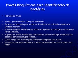 • Hidrólise do Amido
• Amido - polissacarídeo - alto peso molecular.
• Para ser transportado para o interior da célula e ser utilizado - quebra em
unidades menores.
• A habilidade para hidrolisar esse polímero depende da produção e secreção de
várias amilases.
• A quebra do amido é detectada utilizando-se culturas em ágar amido que são
cobertas com uma solução de iodo.
• O iodo reage com o amido para formar um complexo azul escuro.
• As colônias que podem hidrolisar o amido apresentarão uma zona clara a seu
redor
Provas Bioquímicas para identificação de
bactérias
 