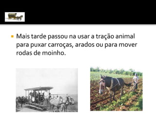 Mais tarde passou na usar a tração animal para puxar carroças, arados ou para mover rodas de moinho.