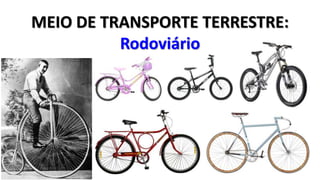 MEIO DE TRANSPORTE TERRESTRE: 
Rodoviário 
 