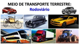 MEIO DE TRANSPORTE TERRESTRE: 
Rodoviário 
 