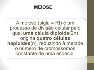 MEIOSE 