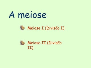 A meiose Meiose I (Divisão I) Meiose II (Divisão II) 