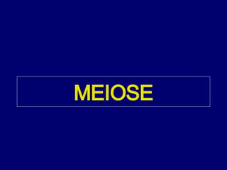 MEIOSE 