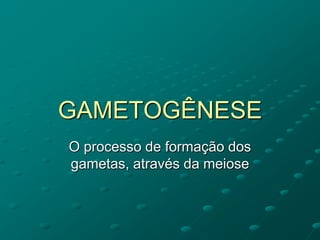 GAMETOGÊNESE
O processo de formação dos
gametas, através da meiose
 
