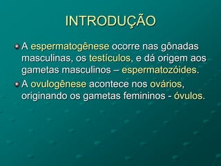 INTRODUÇÃO
A espermatogênese ocorre nas gônadas
masculinas, os testículos, e dá origem aos
gametas masculinos – espermatozóides.
A ovulogênese acontece nos ovários,
originando os gametas femininos - óvulos.
 