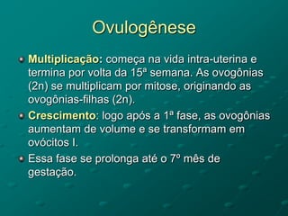 Ovulogênese
Multiplicação: começa na vida intra-uterina e
termina por volta da 15ª semana. As ovogônias
(2n) se multiplicam por mitose, originando as
ovogônias-filhas (2n).
Crescimento: logo após a 1ª fase, as ovogônias
aumentam de volume e se transformam em
ovócitos I.
Essa fase se prolonga até o 7º mês de
gestação.
 
