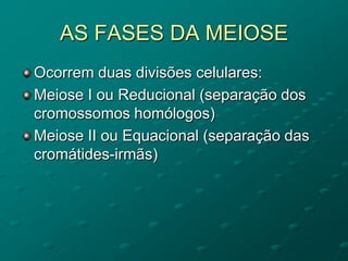 AS FASES DA MEIOSE
Ocorrem duas divisões celulares:
Meiose I ou Reducional (separação dos
cromossomos homólogos)
Meiose II ou Equacional (separação das
cromátides-irmãs)
 