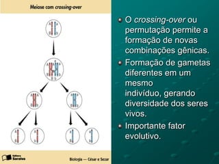 O crossing-over ou
permutação permite a
formação de novas
combinações gênicas.
Formação de gametas
diferentes em um
mesmo
indivíduo, gerando
diversidade dos seres
vivos.
Importante fator
evolutivo.
 
