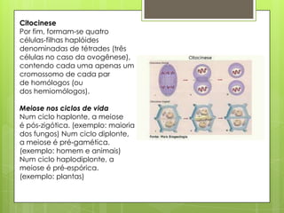 Citocinese
Por fim, formam-se quatro
células-filhas haplóides
denominadas de tétrades (três
células no caso da ovogênese),
contendo cada uma apenas um
cromossomo de cada par
de homólogos (ou
dos hemiomólogos).
Meiose nos ciclos de vida
Num ciclo haplonte, a meiose
é pós-zigótica. (exemplo: maioria
dos fungos) Num ciclo diplonte,
a meiose é pré-gamética.
(exemplo: homem e animais)
Num ciclo haplodiplonte, a
meiose é pré-espórica.
(exemplo: plantas)
 