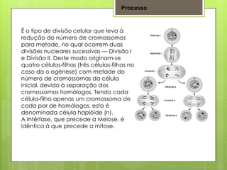 Processo
É o tipo de divisão celular que leva à
redução do número de cromossomos
para metade, no qual ocorrem duas
divisões nucleares sucessivas — Divisão I
e Divisão II. Deste modo originam-se
quatro células-filhas (três células-filhas no
caso da o ogénese) com metade do
número de cromossomas da célula
inicial, devido à separação dos
cromossomos homólogos. Tendo cada
célula-filha apenas um cromossoma de
cada par de homólogos, esta é
denominada célula haplóide (n).
A Intérfase, que precede a Meiose, é
idêntica à que precede a mitose.
 