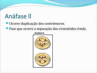 Anáfase ll
Ocorre duplicação dos centrômeros.
Fase que ocorre a separação das cromátides-irmãs.
 