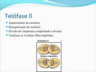 Telófase ll
Aparecimento da carioteca.
Reorganização do nucléolo.
Divisão do citoplasma completando a divisão.
Totalizou-se 4 células filhas haploides.
 