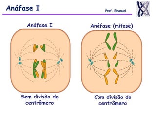 Anáfase I Prof. Emanuel
Sem divisão do
centrômero
Com divisão do
centrômero
Anáfase I Anáfase (mitose)
 